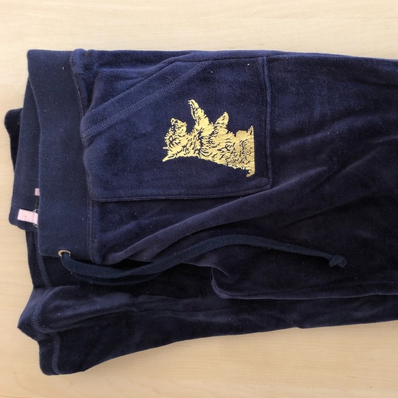 Blue Juicy Couture Bootcut Velvet Track Pants - Picture 2 of 4